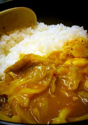 鍋のシメは「カレーライス」だよねー♪-レシピのメイン写真