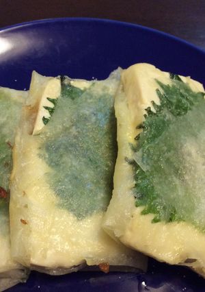 豆腐の春巻-レシピのメイン写真