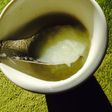 白菜の茎ポタージュ