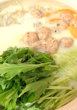 創味シャンタンDXで豆乳鍋⑅◡̈*-レシピのメイン写真