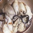 牡蠣の酒蒸し(生食用でぷりぷり焼き牡蠣)