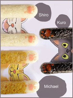 猫の手借りよう☆スティックおにぎり!-レシピのメイン写真