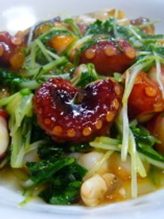 タコと水菜のサッと炒め-レシピのメイン写真