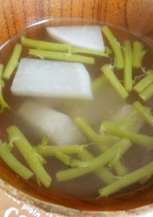 かぶとクレソンの茎のコンソメスープ-レシピのメイン写真