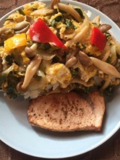 野菜の卵とじと魚のワンプレート-レシピのメイン写真