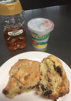 目指せスタバ❗️クランベリーのスコーン-レシピのメイン写真