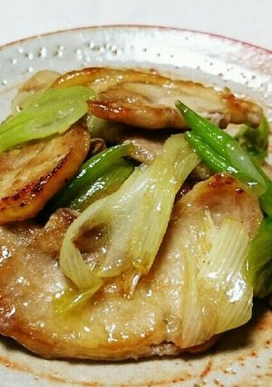 鶏肉とネギの塩だれ炒め-レシピのメイン写真