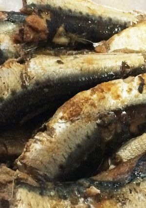 活力鍋☆骨ごと食べるイワシ煮-レシピのメイン写真