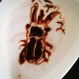 ヨーグルトアート☆カブトムシ