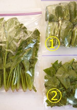 ほうれん草は生のままで冷凍保存 3通り -レシピのメイン写真