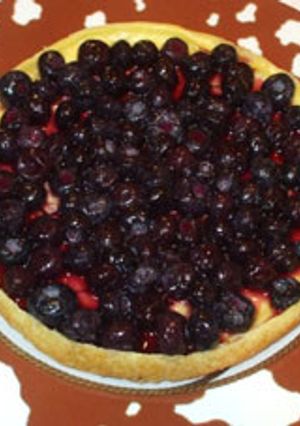 ブルーベリーチーズケーキ♪簡単タルト生地-レシピのメイン写真