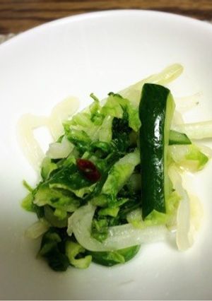 白菜と胡瓜の甘酢漬け-レシピのメイン写真