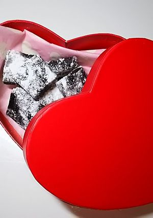 無添加 ココアパウダーから作る生チョコ-レシピのメイン写真