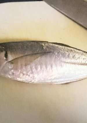 魚の捌き方(三枚おろし)-レシピのメイン写真