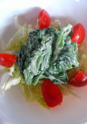ほうれん草のおひたしdeもりもりサラダ♪-レシピのメイン写真