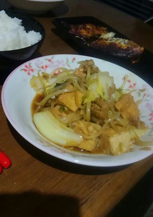 簡単、旨い、節約！白菜ともやしの麻婆風-レシピのメイン写真