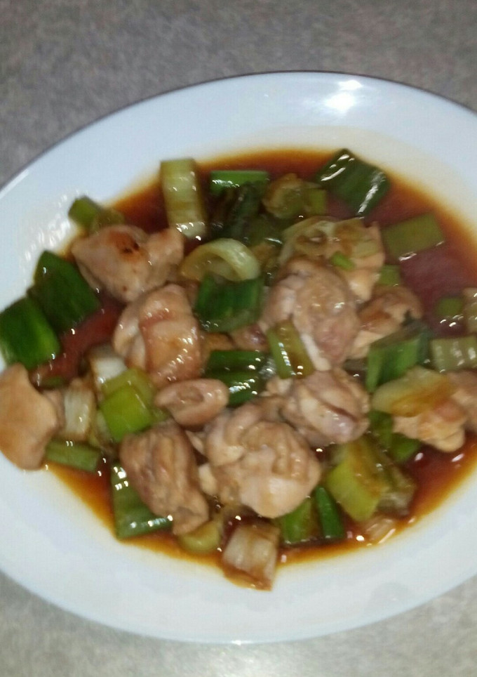 鶏肉と長ネギの照り焼き-レシピのメイン写真