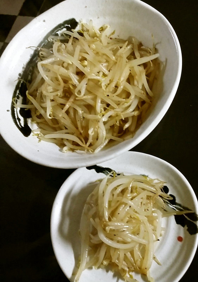 簡単！おつまみもやし-レシピのメイン写真
