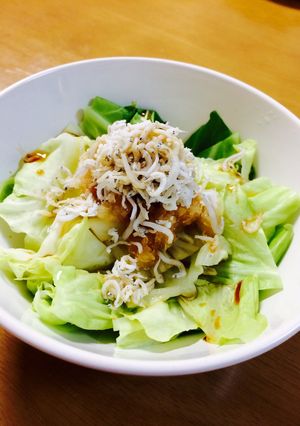 蒸しキャベツとしらすおろしのサラダ☆-レシピのメイン写真