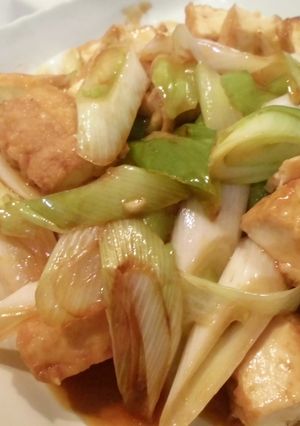 長ねぎと厚揚げのオイスターソース炒め-レシピのメイン写真