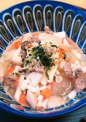 犬ごはん　根菜たっぷり肉うどん-レシピのメイン写真