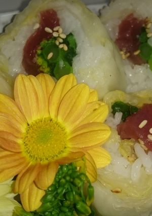 お年寄り絶讚シリーズ❗白菜甘酢漬け‼️-レシピのメイン写真