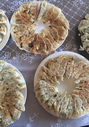 創味シャンタンでニラなし餃子-レシピのメイン写真