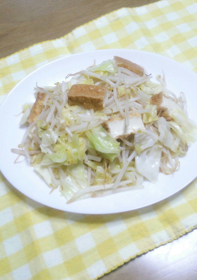 節約？もやし×キャベツ×厚揚げの炒めもの-レシピのメイン写真