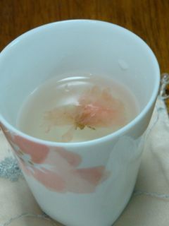 桜の花の塩漬け-レシピのメイン写真