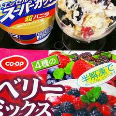 簡単手作りアイス-レシピのメイン写真