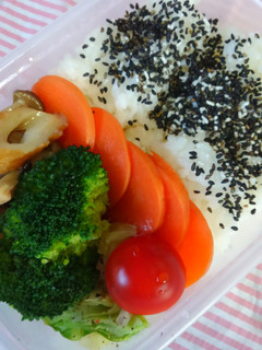 一度のチンで出来ちゃう簡単弁当♪-レシピのメイン写真