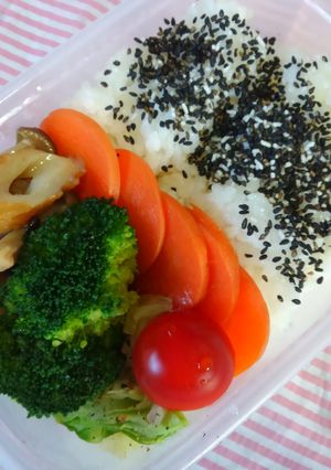 一度のチンで出来ちゃう簡単弁当♪-レシピのメイン写真