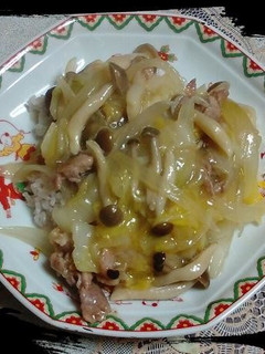 白菜たっぷり中華旨煮丼-レシピのメイン写真