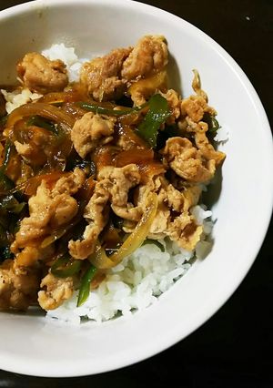 豚ロース丼-レシピのメイン写真