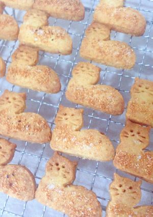 チーズねこクッキー-レシピのメイン写真