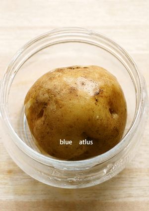 ジャガイモの冷蔵保存方-レシピのメイン写真