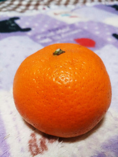 みかんの甘い食べ方集!-レシピのメイン写真
