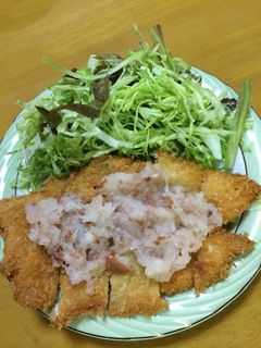 チキンカツ☆梅おろしソース-レシピのメイン写真