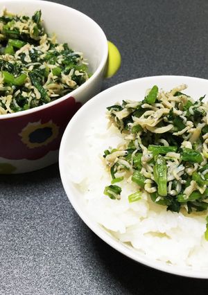 ごはんのお供に！春菊しらす炒め-レシピのメイン写真