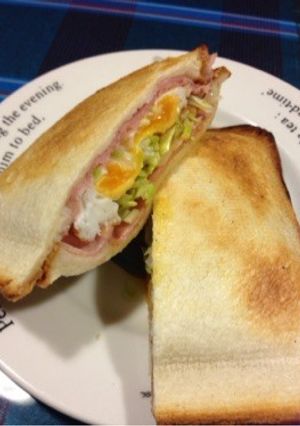 魚グリルで焼きサンド-レシピのメイン写真