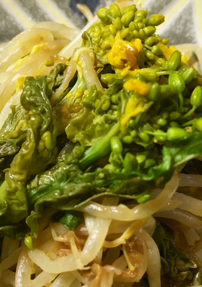 青菜ともやしの煮びたし❀-レシピのメイン写真