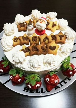 クリスマスケーキデコッ-レシピのメイン写真