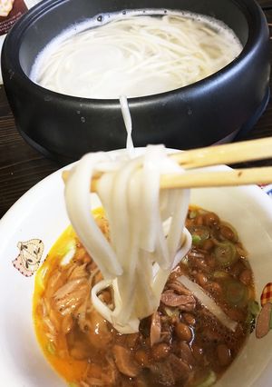 1人鍋でする「ひっぱりうどん」-レシピのメイン写真