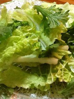 生の白菜&春菊・簡単サラダ-レシピのメイン写真