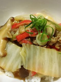 白菜と豚肉の中華あんかけ丼★-レシピのメイン写真