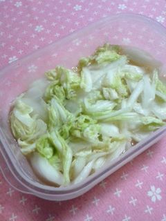 簡単 白菜の浅漬け♪-レシピのメイン写真