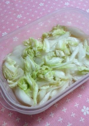 簡単 白菜の浅漬け♪-レシピのメイン写真