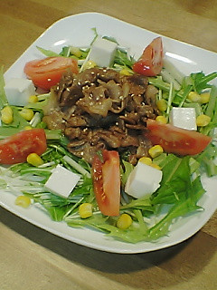 ◎味噌てり豚のっけサラダ♪-レシピのメイン写真
