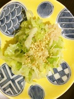 白菜のサラダ-レシピのメイン写真