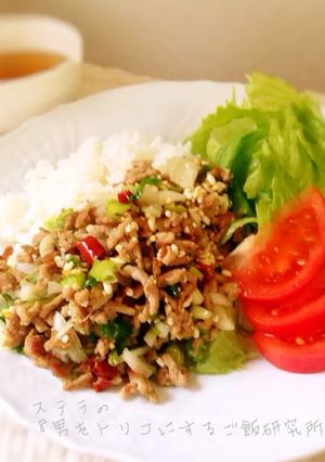 お手軽タイ飯♪ラープ・ムゥの挽肉かけご飯-レシピのメイン写真